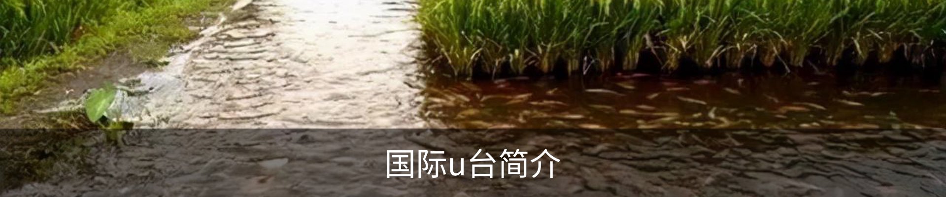 国际u台简介